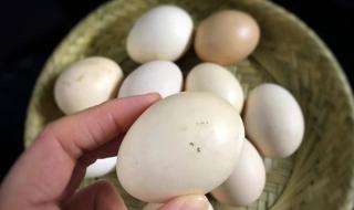 鸡蛋放冰箱要不要洗 鸡蛋用水洗过,放在冰箱能放多久